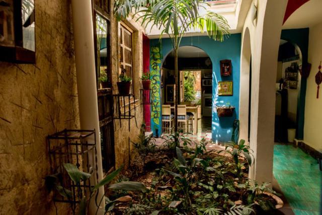 La Selva By Majikal B&B Mérida Buitenkant foto