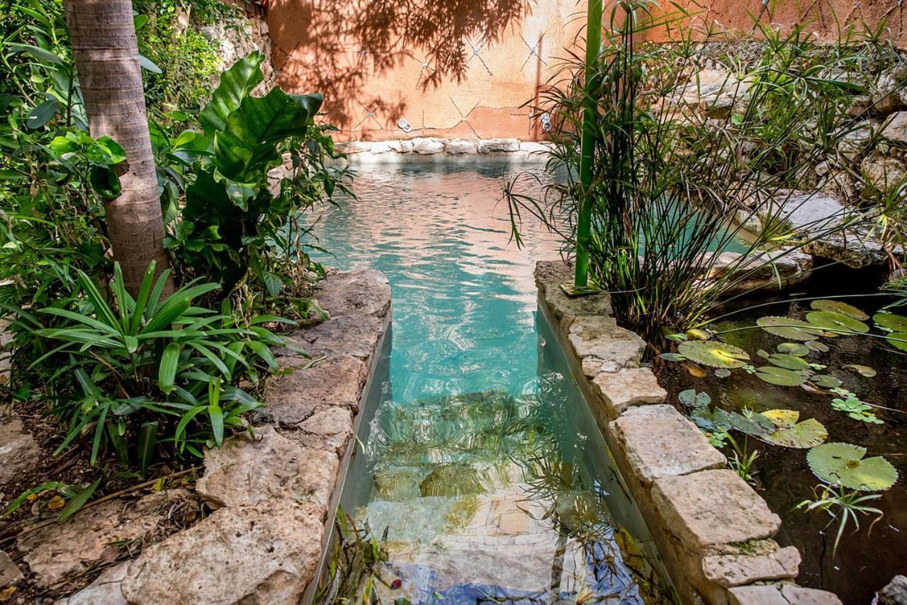 La Selva By Majikal B&B Mérida Buitenkant foto